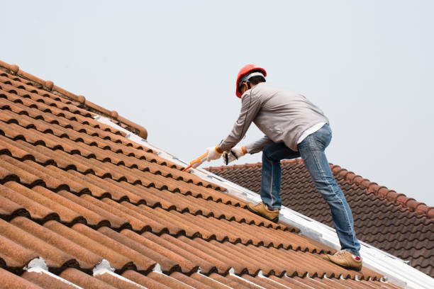  Meadow Glade, WA Roofing repair and installation Pros