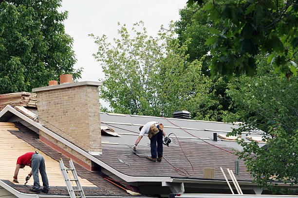 Emergency Roof Repair in Meadow Glade, WA